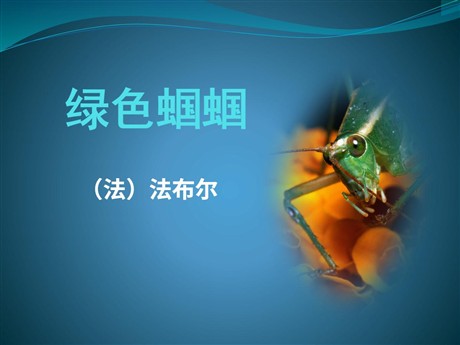 《绿色蝈蝈》PPT课件6