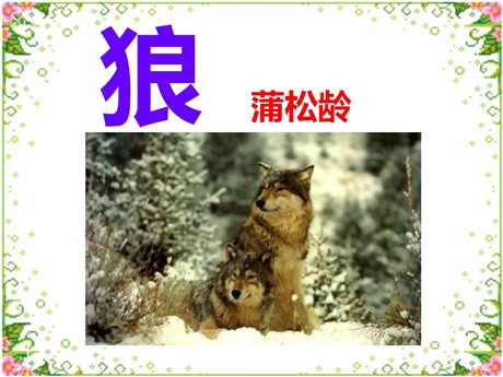 《狼》PPT课件9