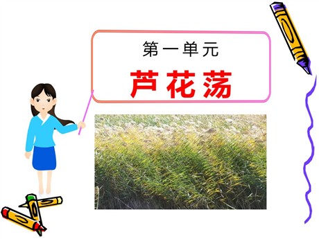 《芦花荡》PPT课件9