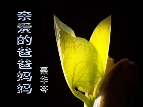 《亲爱的爸爸妈妈》PPT课件5