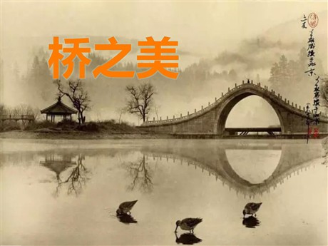 《桥之美》PPT课件7