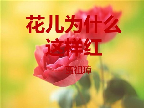 《花儿为什么这样红》PPT课件7