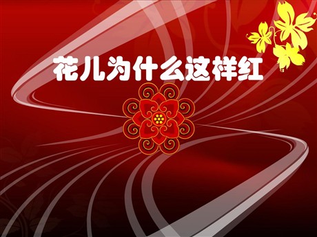 《花儿为什么这样红》PPT课件8