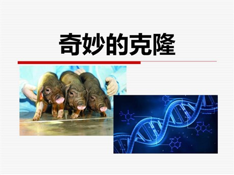 《奇妙的克隆》PPT课件7