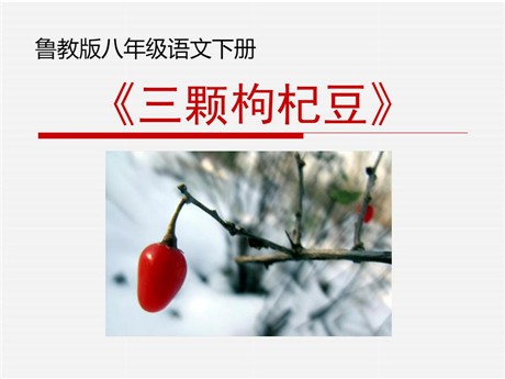 《三颗枸杞豆》PPT课件3