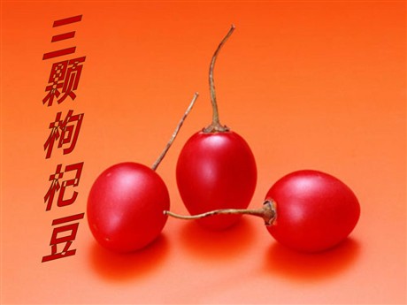 《三颗枸杞豆》PPT课件5