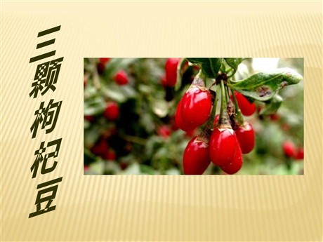 《三颗枸杞豆》PPT课件6