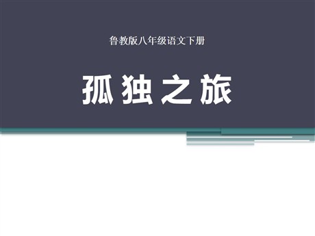 《孤独之旅》PPT课件8
