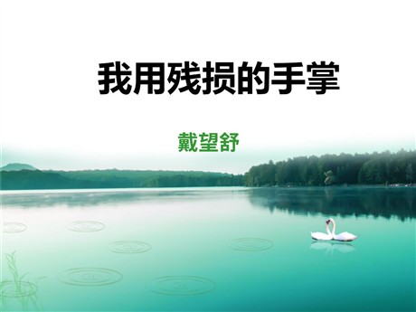 《我用残损的手掌》PPT课件7