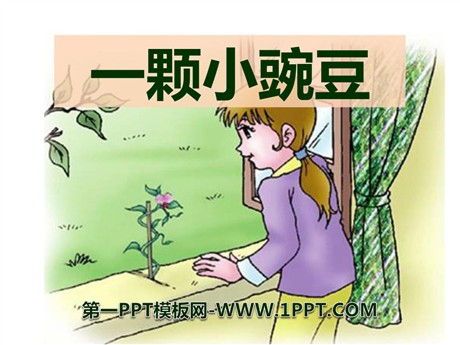 《一颗小碗豆》PPT课件2