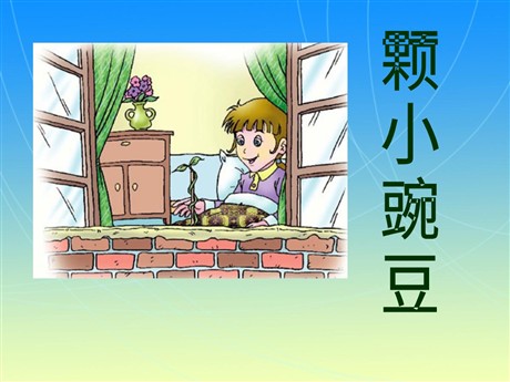 《一颗小碗豆》PPT课件3