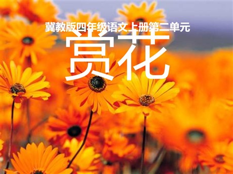 《赏花》PPT课件