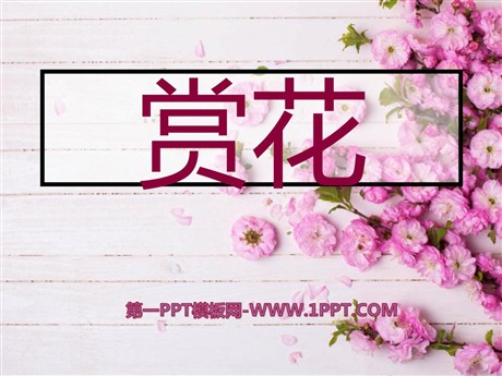 《赏花》PPT课件2