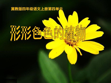 《形形色色的植物》PPT课件
