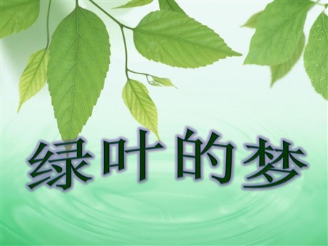 《绿叶的梦》PPT课件