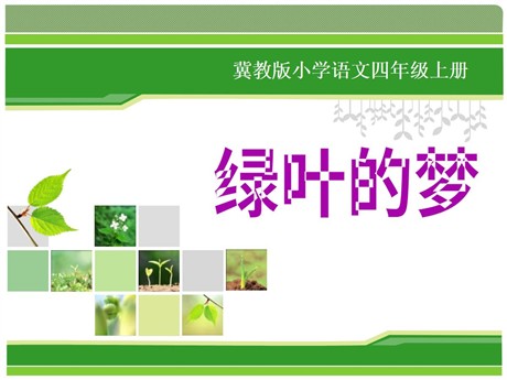 《绿叶的梦》PPT课件2