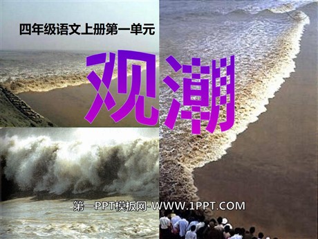 《观潮》PPT课件8