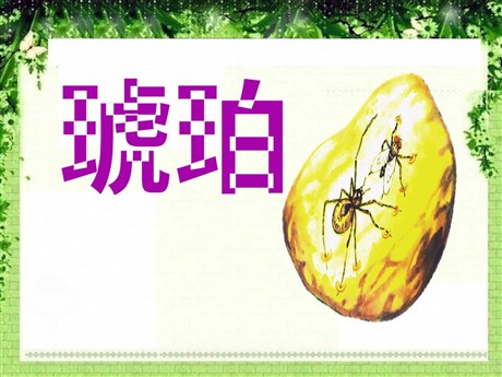 《琥珀》PPT课件5