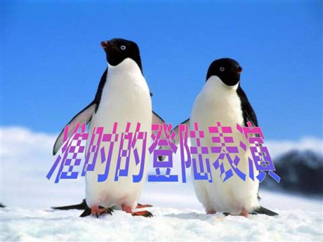 《准时的登陆表演》PPT课件2