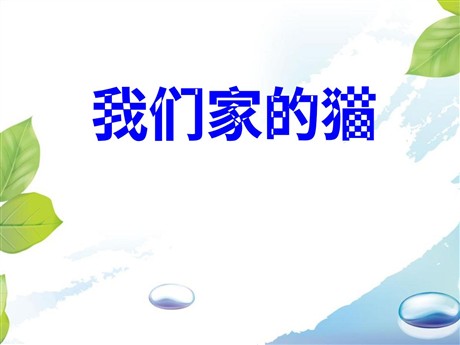 《我们家的猫》PPT课件3