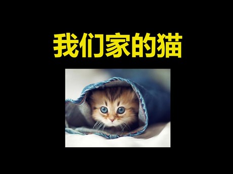 《我们家的猫》PPT课件5