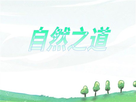 《自然之道》PPT课件8