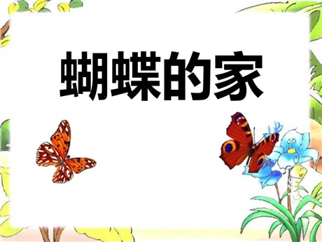 《蝴蝶的家》PPT课件4