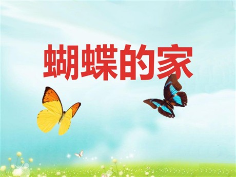 《蝴蝶的家》PPT课件2