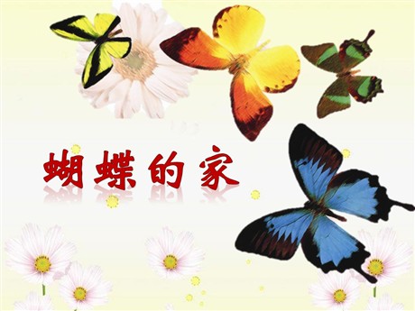 《蝴蝶的家》PPT课件3