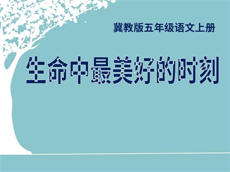 《生命中最美好的时刻》PPT课件