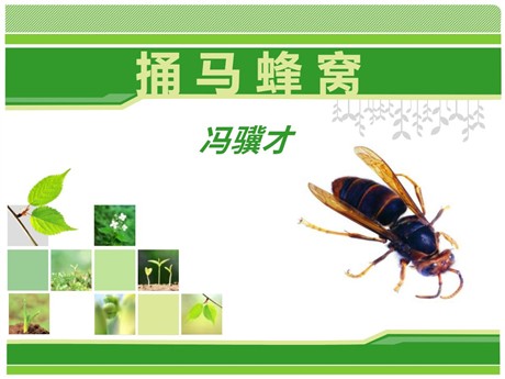 《捅马蜂窝》PPT课件6