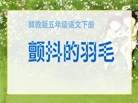 《颤抖的羽毛》PPT课件3