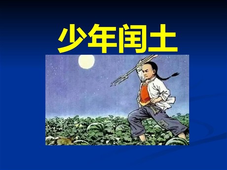 《少年闰土》PPT课件5