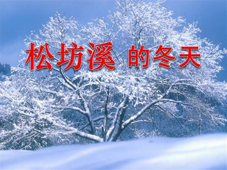 《松坊溪的冬天》PPT课件4