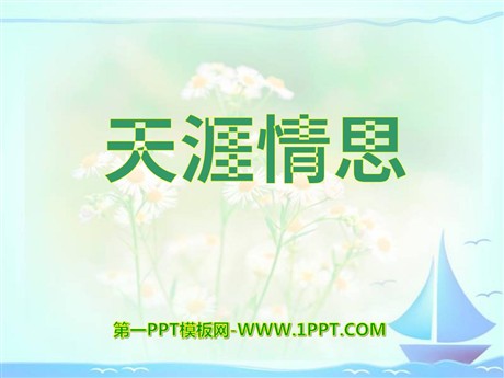 《天涯情思》PPT课件
