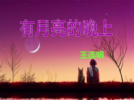 《有月亮的晚上》PPT课件3