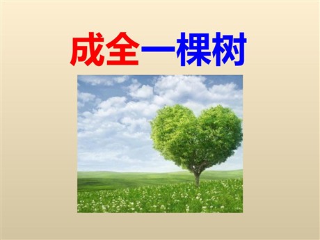 《成全一棵树》PPT课件2