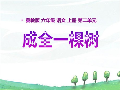 《成全一棵树》PPT课件3