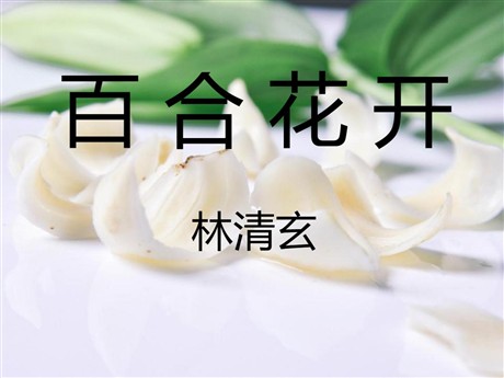 《百合花开》PPT课件2