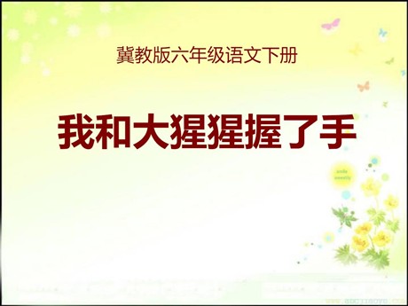 《我和大猩猩握了手》PPT课件2