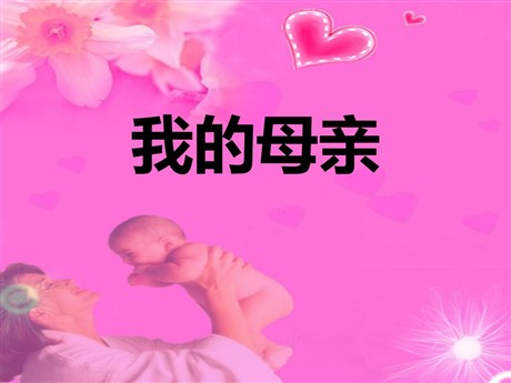 《我的母亲》PPT课件11