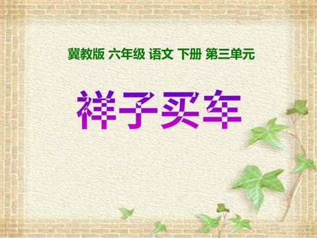 《祥子买车》PPT课件3