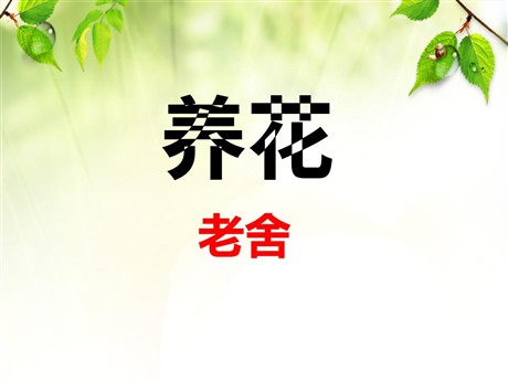 《养花》PPT课件6