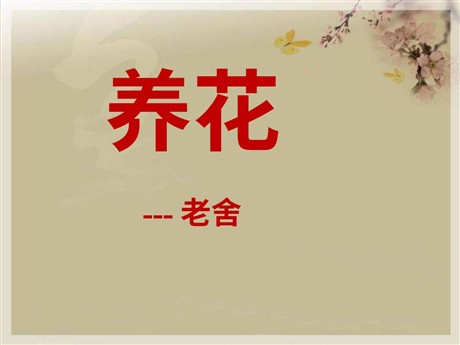 《养花》PPT课件7