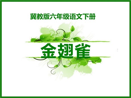 《金翅雀》PPT课件2