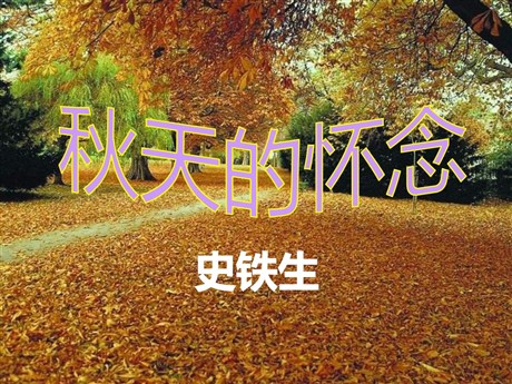 《秋天的怀念》PPT课件5