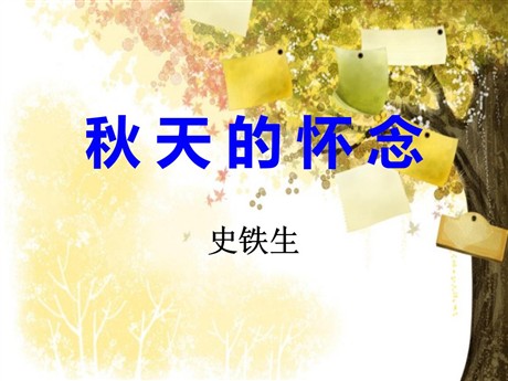 《秋天的怀念》PPT课件6