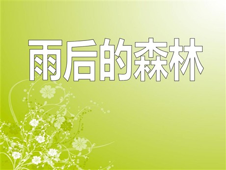 《雨后的森林》PPT课件2