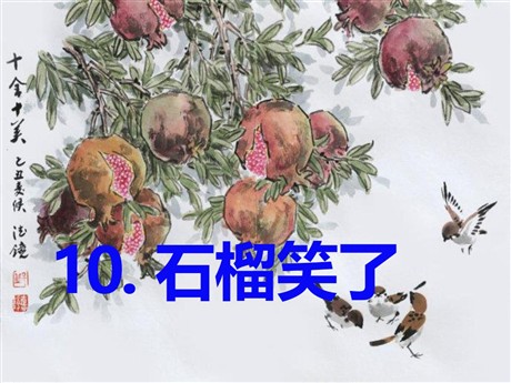 《石榴笑了》PPT课件3