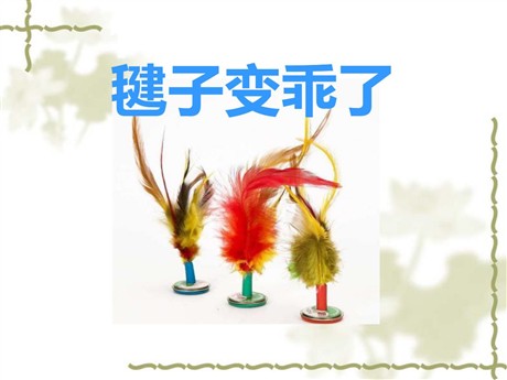 《毽子变乖了》PPT课件2